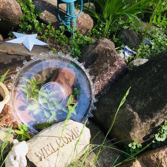 ⚜️ Calphalon Stainless 12" Skillet #1392 Frying Pan - Picture 6 of 15